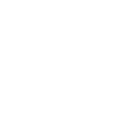 Sketch of the globe from the SKALE company overview, with an arc drawn from New York to Riyadh